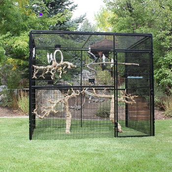 BEST LARGE OUTDOOR PARROT AVIARY