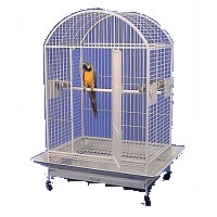 BEST LARGE ROUND BIRD CAGE WITH STAND Summary