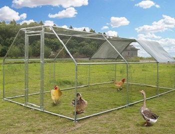 BEST METAL PHEASANT AVIARY