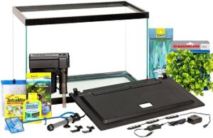 6 Best 20-gallon Breeder Tanks For Various Fish Species 2022