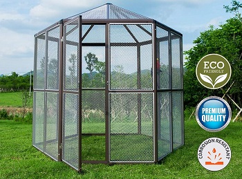 BEST OF BEST PARROT AVIARY