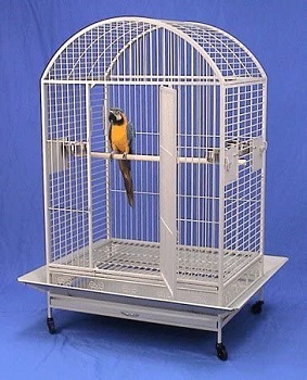 BEST OF BEST WHITE BIRD CAGE WITH STAND