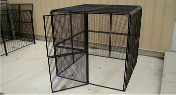 BEST SMALL OUTDOOR PARROT AVIARY