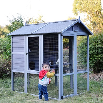 BEST WALK IN LARGE OUTDOOR BIRD CAGE