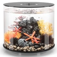BEST WITH FILTER ACRYLIC CYLINDER FISH TANK summary