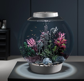 BiOrb Classic Aquarium