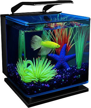 GloFish Betta Shadowbox Aquarium Kit
