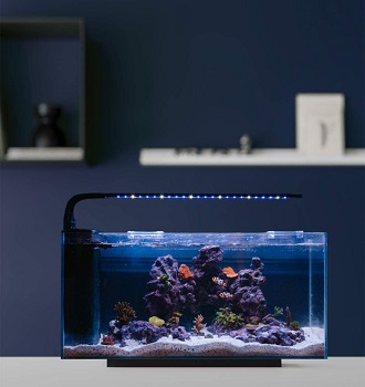 JBJ Rimless Desktop Aquarium