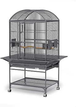 MidWest Chiquita Bird Cage