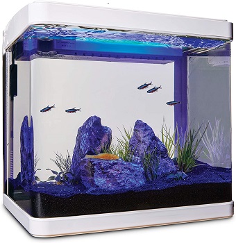 Petco Brand Imagitarium Aquarium Kit