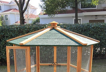 Pets Imperial Stunning Wooden Bird Aviary