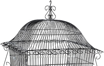 Prevue Hendryx Designer Cage