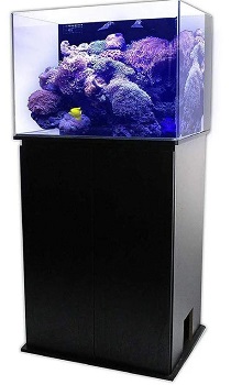 SCA 50 Gallon Starfire Glass Aquarium