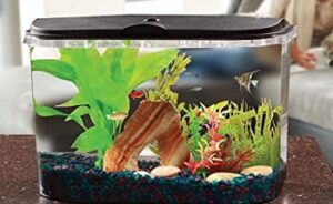 Best 3 Tetra Crescent Kit For Half-Moon Aquariums Reviews - Tetra Crescent Acrylic Aquarium Kit 300x184