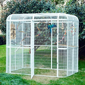 BEST ENCLOSURE FOR AFRICAN GREY