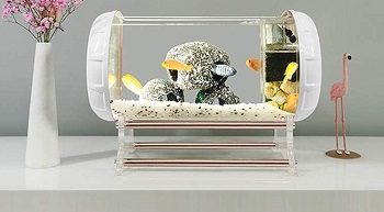 ZJHCC Fish Tank