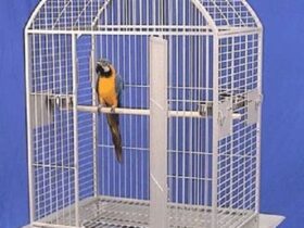 big macaw cage