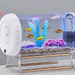cylinder acrylic aquarium
