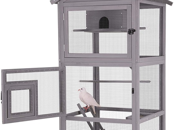 dove-aviary