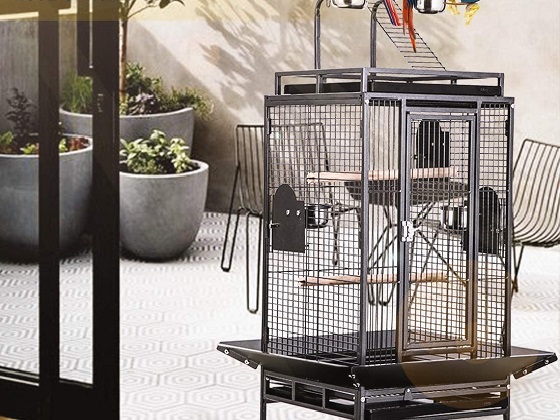 indoor-parrot-cage