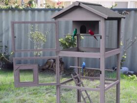 large bird aviary cage