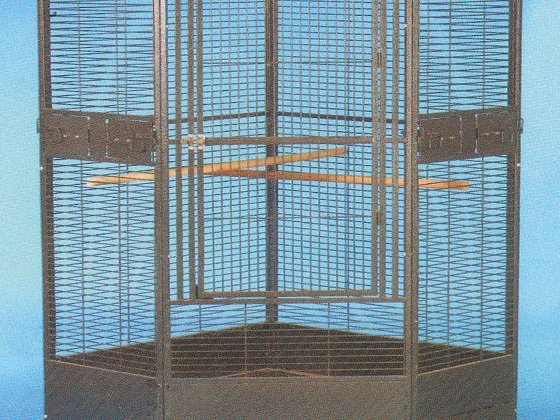 large-corner-bird-cage