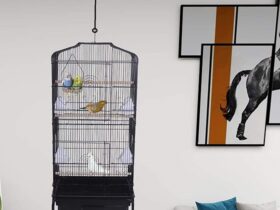 large-hanging-bird-cage