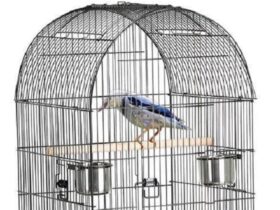 large-round-bird-cage