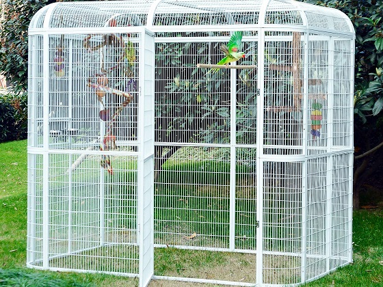 macaw-aviary