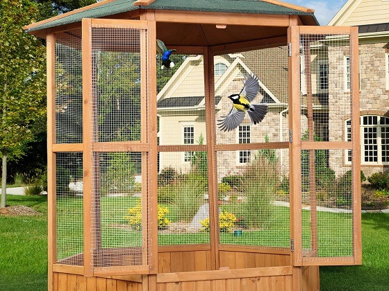outdoor-bird-aviary-kits