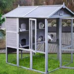 outdoor-pigeon-cage