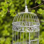 vintage decorative bird cages
