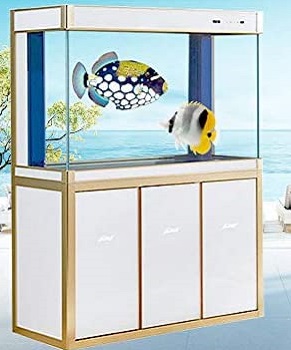 Aqua Dream Aquarium Fish Tank