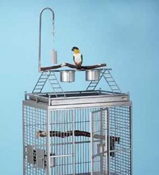 Avian Adventures Chiquita Bird Cage