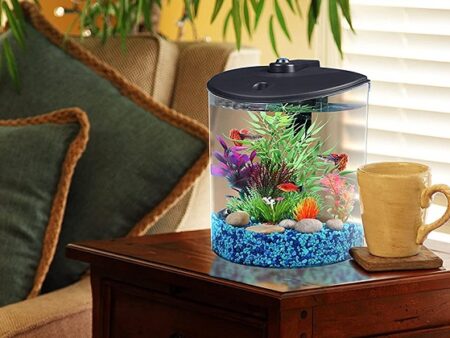 Best 6 Aesthetic Fish Tanks That Will Fit Your Room Decor