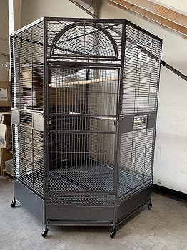 BEST AFRICAN GREY PARROT ENCLOSURE