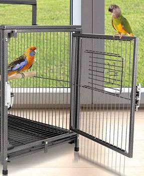 BEST AFRICAN GREY PARROT TRAVEL CAGE