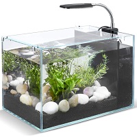 BEST BETTA SMALL FISH TANK WITH LIGHT AND FILTER summary
