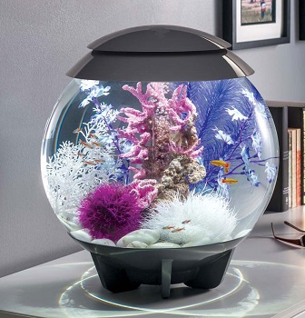 BEST BIG FISHBOWL WITH LID
