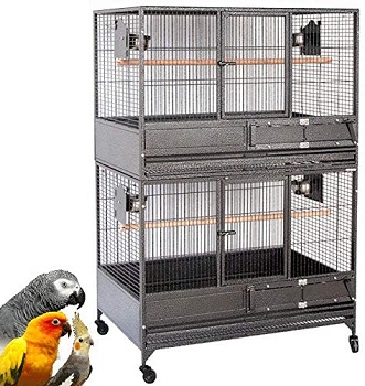 BEST BREEDING AFRICAN GREY CAGE