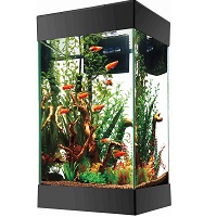 BEST CORNER FISH TANK WITH HEATER AND FILTER summary