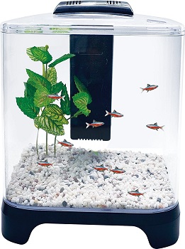 BEST CORNER SMALL FISH TANK WITH LIGHT AND FILTER