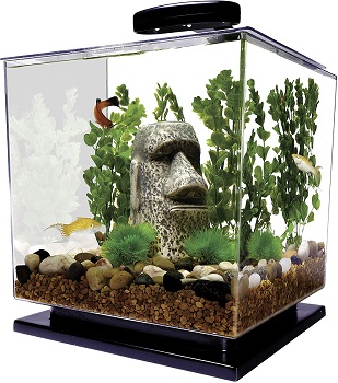 BEST CUBE SMALL FISH TANK WITH LIGHT AND FILTER