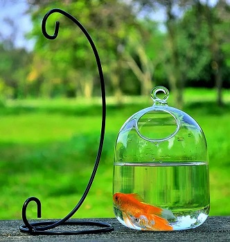goldfish tank decoration ideas