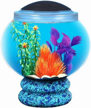BEST DECORATION FISHBOWL WITH LID