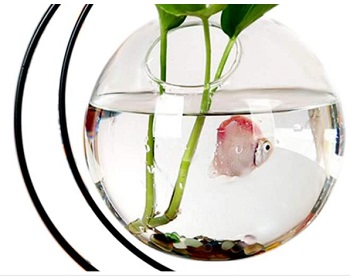 BEST DECORATION ROUND FISH TANK WITH A STAND