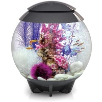BEST DECORATION SMALL FISH TANK WITH LIGHT AND FILTER summary