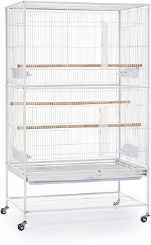 zebra finch cage setup