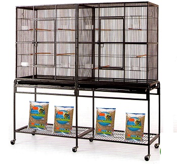 BEST LARGE ZEBRA FINCH CAGE