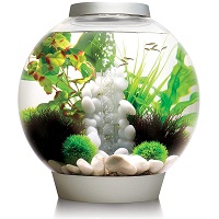 BEST OF BEST FISH BOWL WITH LID summary